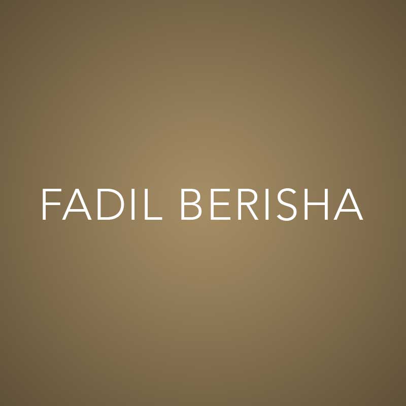sponsor logo fadil berisha